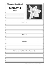 Pflanzensteckbrief-Clematis-SW.pdf